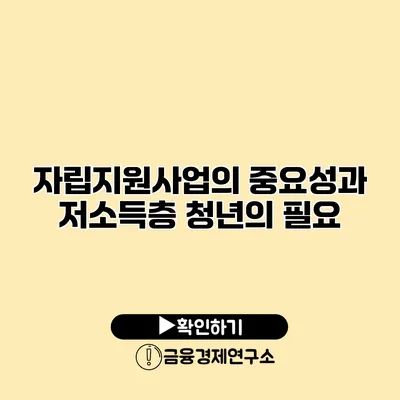 자립지원사업의 중요성과 저소득층 청년의 필요