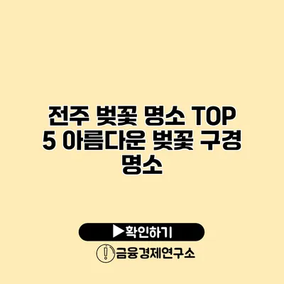 전주 벚꽃 명소 TOP 5 아름다운 벚꽃 구경 명소