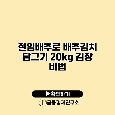 절임배추로 배추김치 담그기 20kg 김장 비법