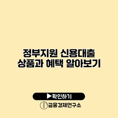 정부지원 신용대출 상품과 혜택 알아보기