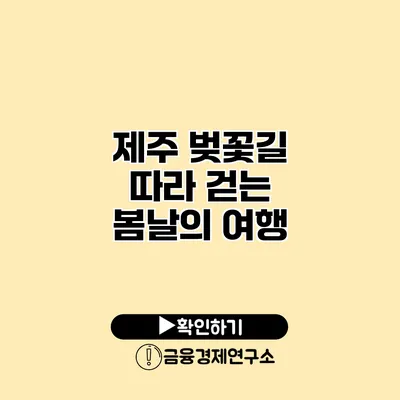 제주 벚꽃길 따라 걷는 봄날의 여행