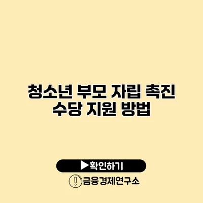 청소년 부모 자립 촉진 수당 지원 방법