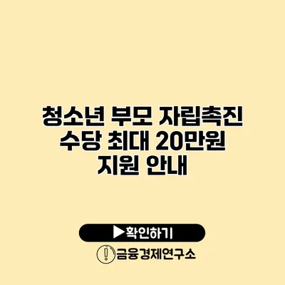 청소년 부모 자립촉진 수당 최대 20만원 지원 안내