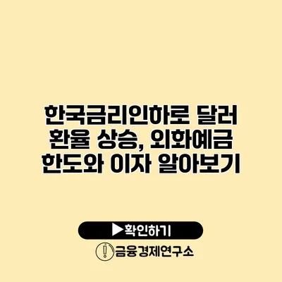 한국금리인하로 달러 환율 상승, 외화예금 한도와 이자 알아보기