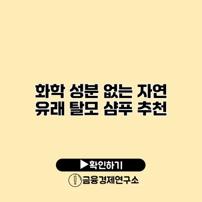 화학 성분 없는 자연 유래 탈모 샴푸 추천