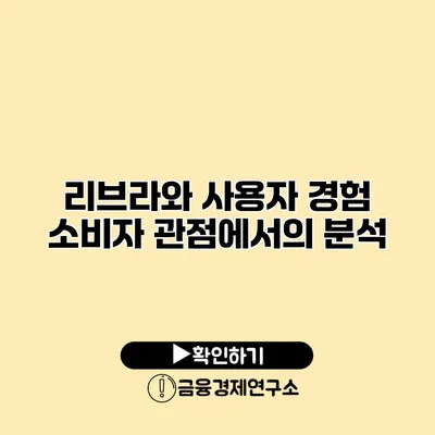 리브라와 사용자 경험 소비자 관점에서의 분석