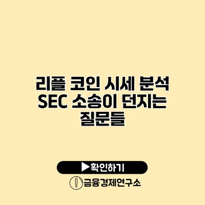 리플 코인 시세 분석 SEC 소송이 던지는 질문들