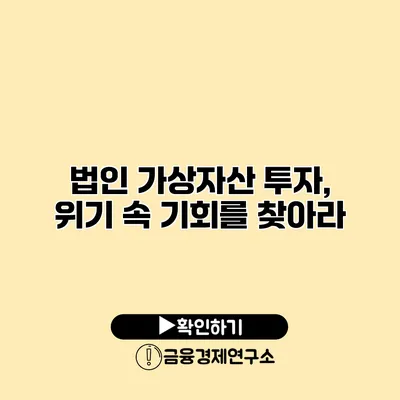 법인 가상자산 투자, 위기 속 기회를 찾아라