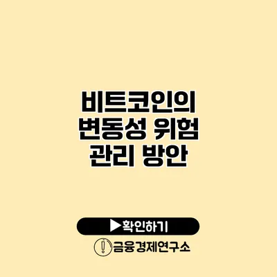 비트코인의 변동성 위험 관리 방안