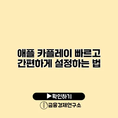 애플 카플레이 빠르고 간편하게 설정하는 법